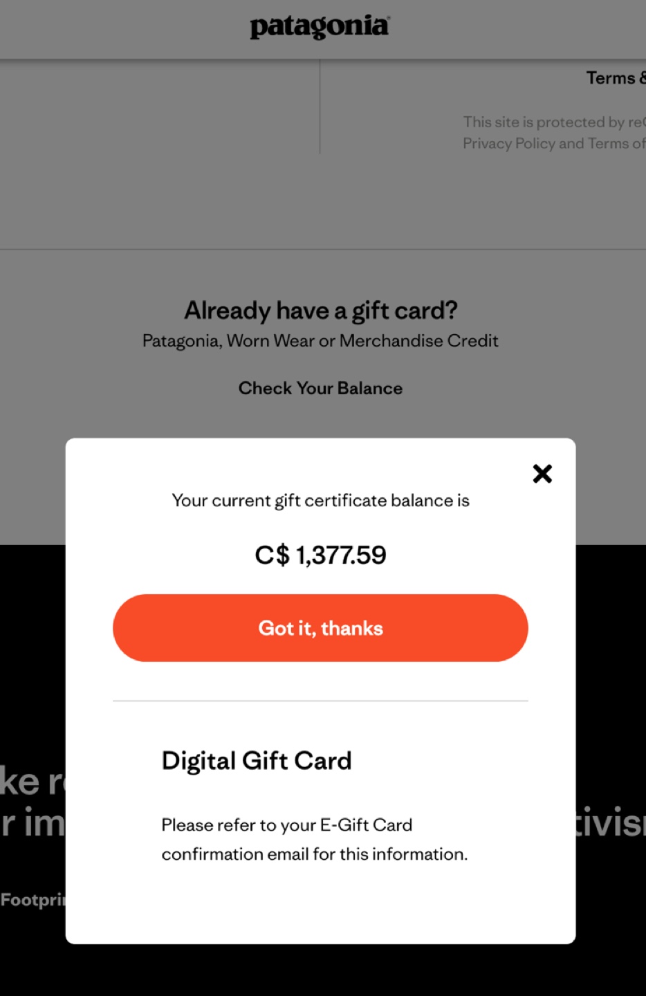 Patagonia Gift Card - $1,377.59 - photo 2
