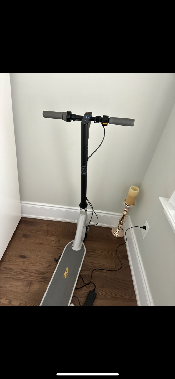 Ninebot Electric Scooter
