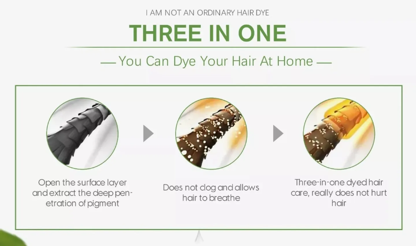 NEW Herbishh Black Color Shampoo - 500ml image indicator(7)