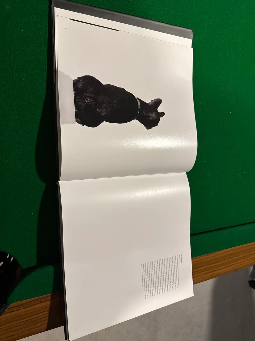 Dogs - Photography Book by Tim Flach image indicator(3)