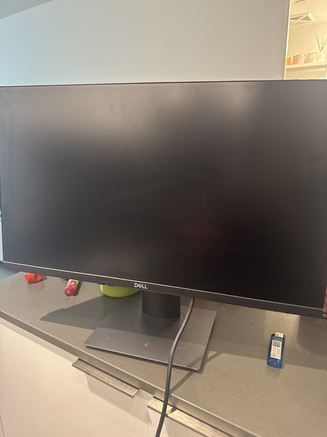 Dell 24 inch Monitor