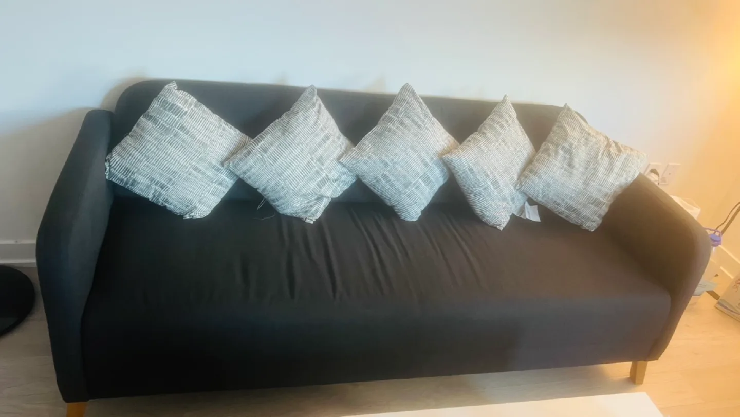 Ikea Linanas dark gray sofa image indicator(2)