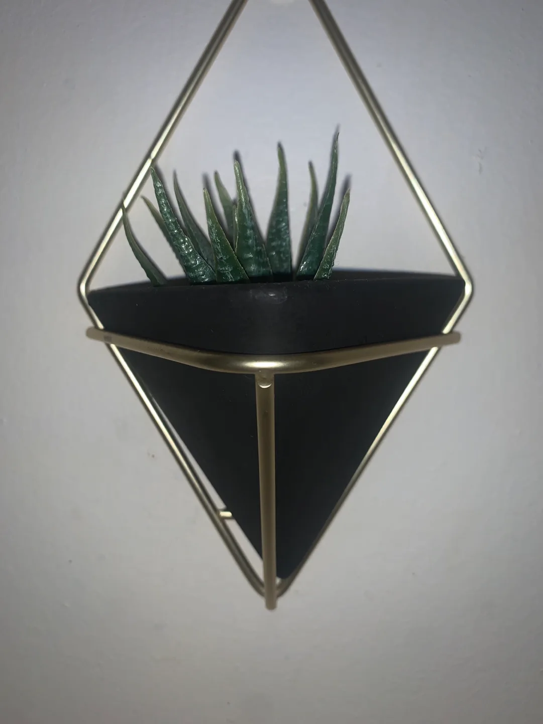 Umbra Set of Two Geometric Wall Planters with Faux Succulents image indicator(2)