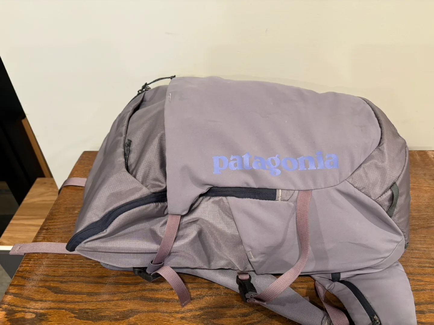 Patagonia Backpack - Grey - Used image indicator(2)