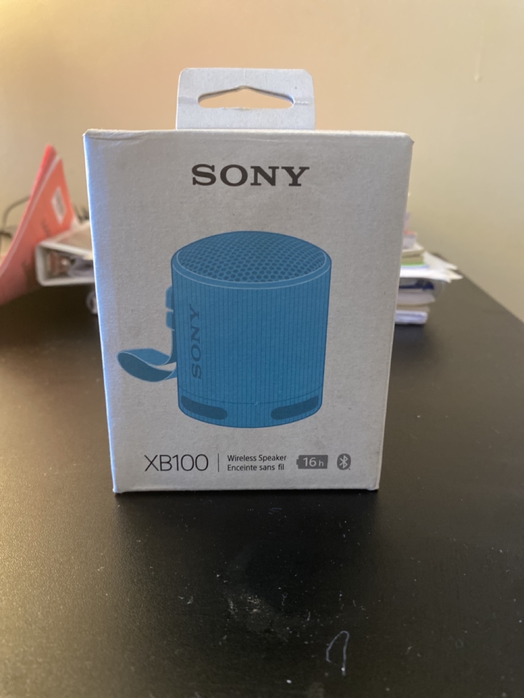 Sony XB100 Bluetooth Speaker