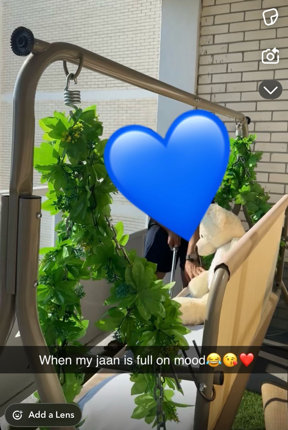 Outdoor/Indoor Swing