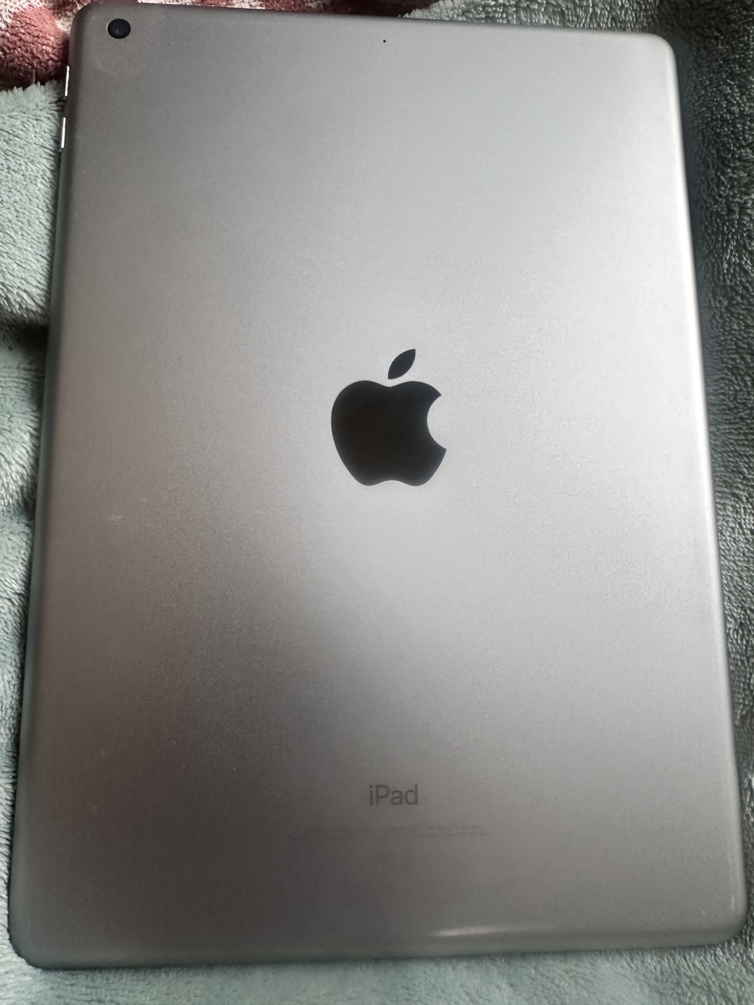 5th Gen 32GB iPad with case