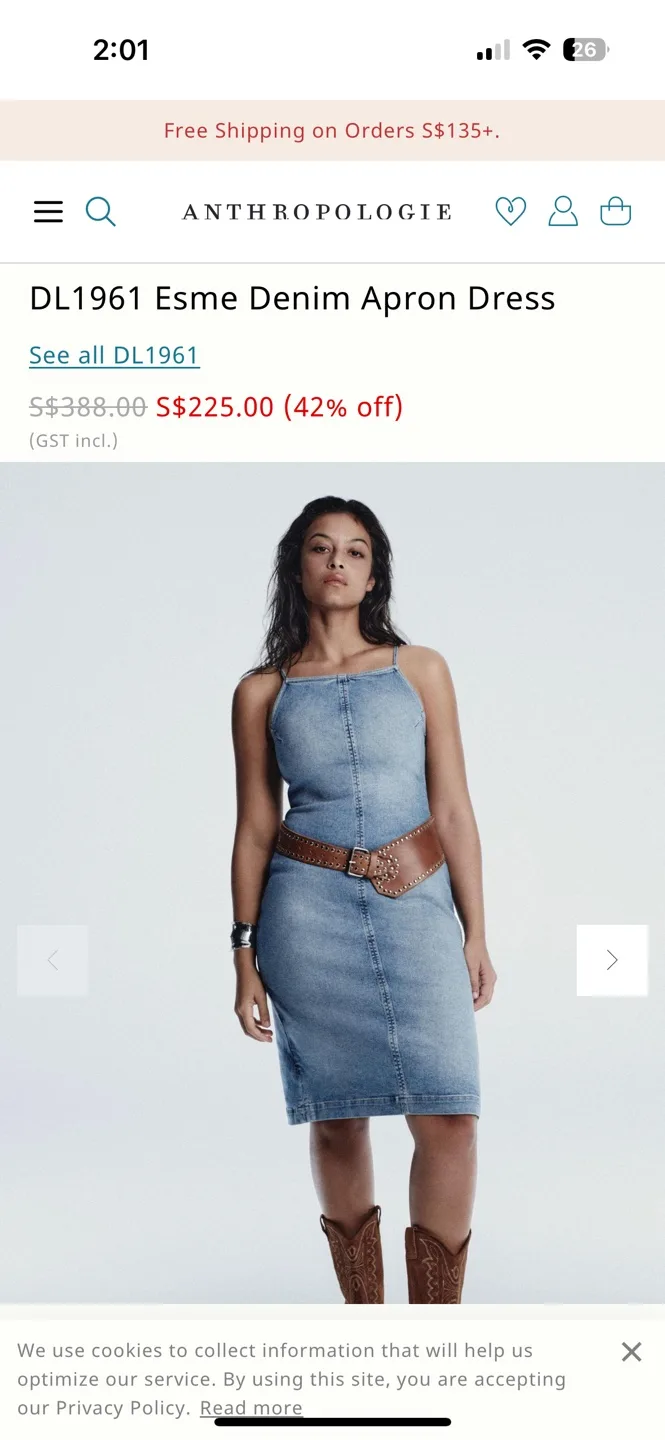 Brand new with tags Anthropologie Esme Denim Apron Dress image indicator(2)