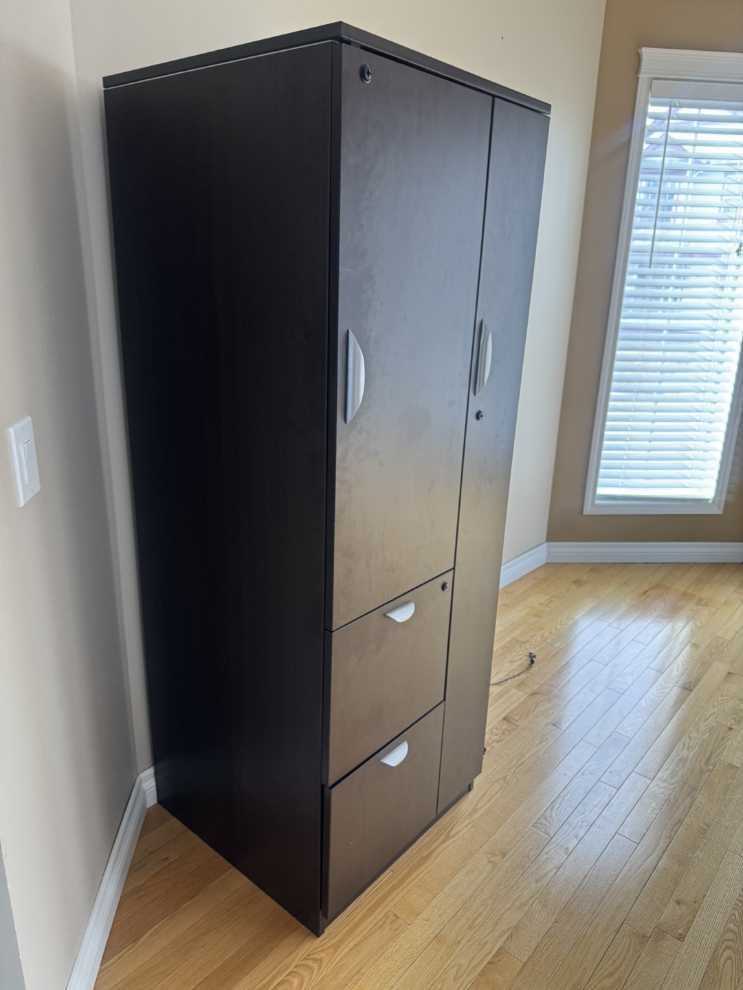 Dark Brown Office Cabinet with Two Drawers