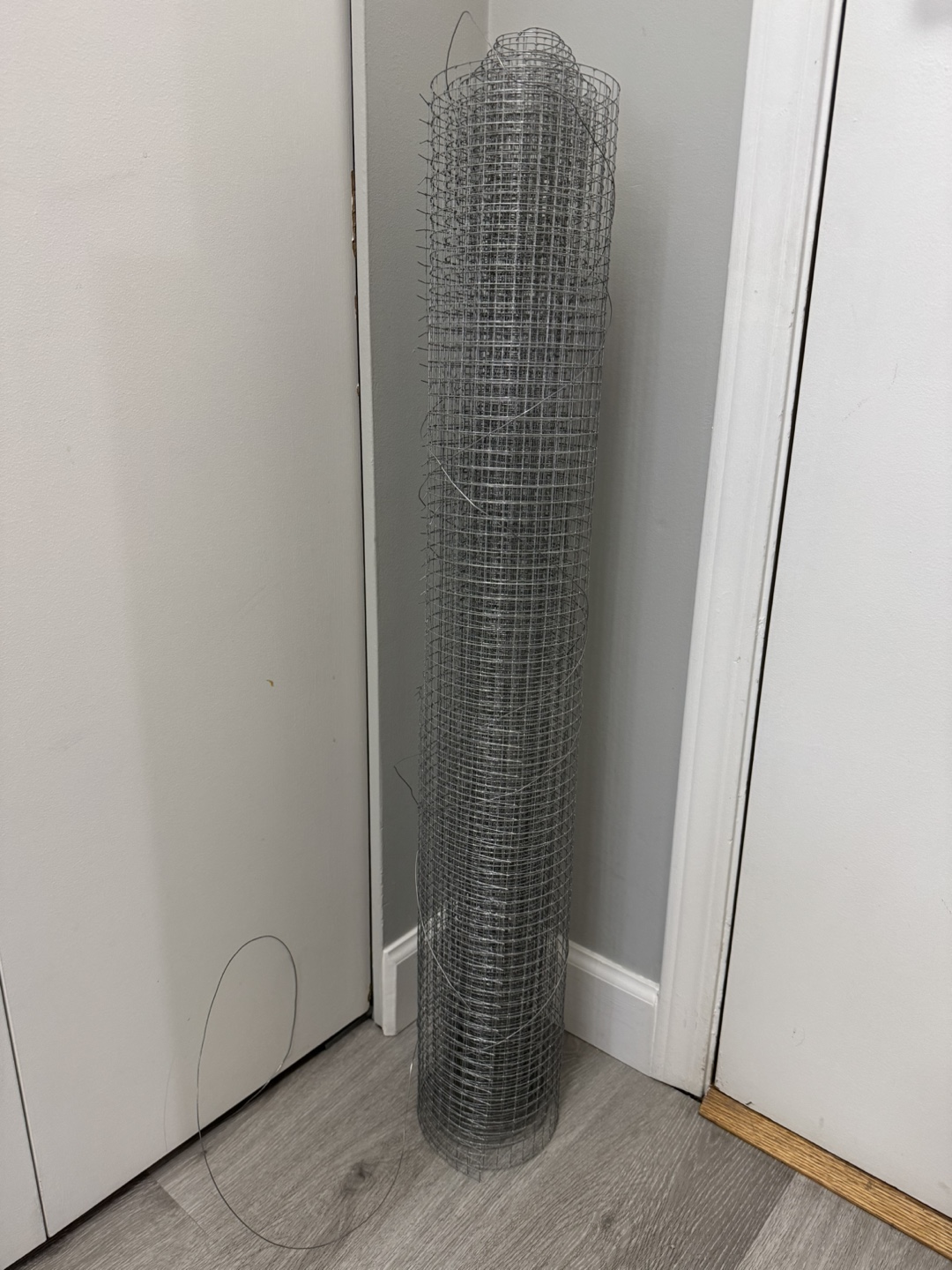 Chicken wire