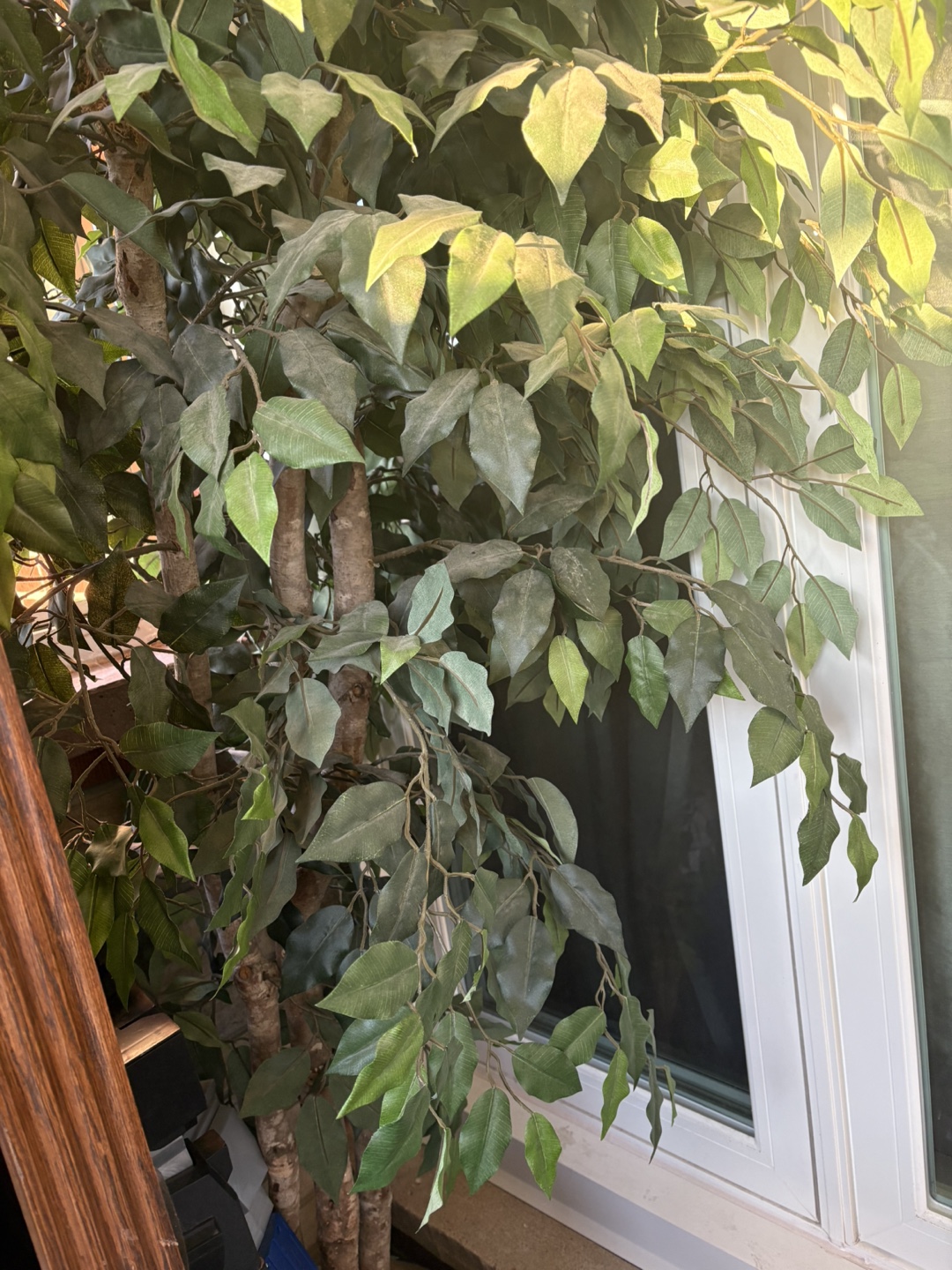 Artificial Ficus Tree
