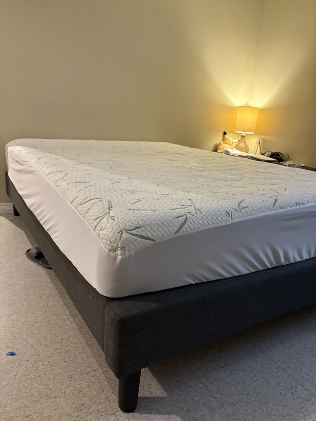 Queen Mattress Protector and Platform Bed Frame with mattress
