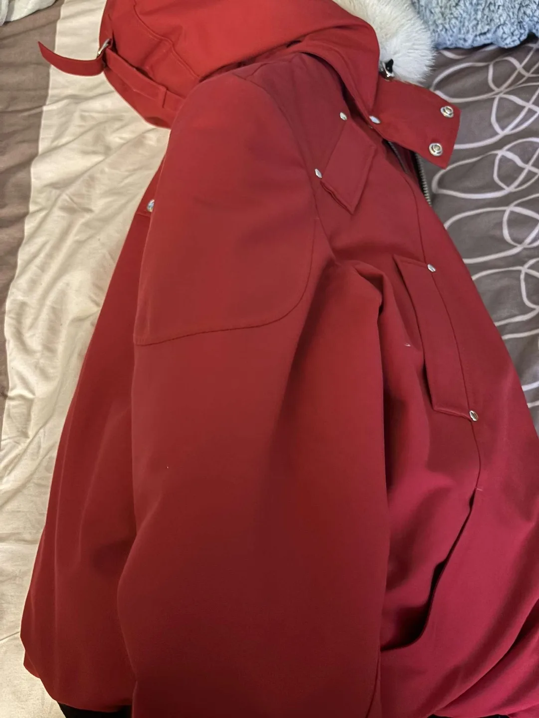 Moose Knuckles Red Bomber Jacket image indicator(4)