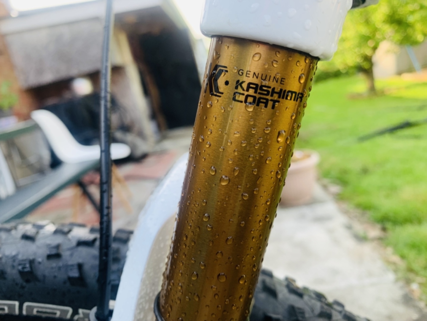 Opus Carbon Fibe 29er mountain bike - photo 2