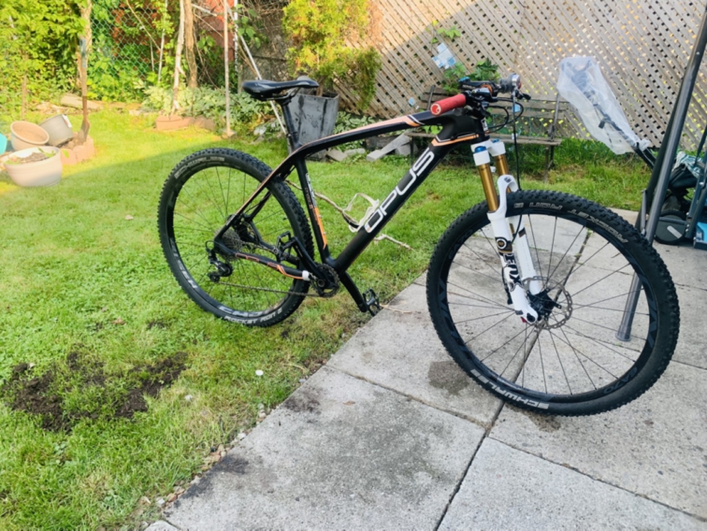 Opus Carbon Fibe 29er mountain bike