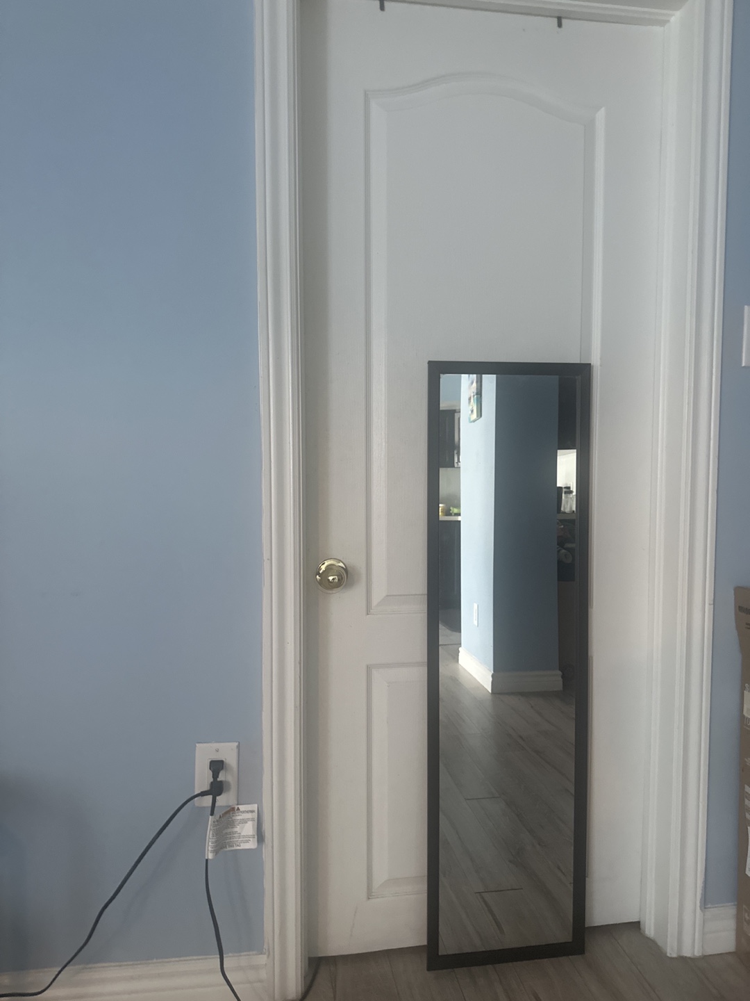 Full Length Black Frame Mirror - photo 2