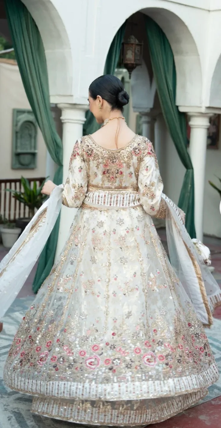 Gorgeous Embroidered Pakistani Gown image indicator(5)