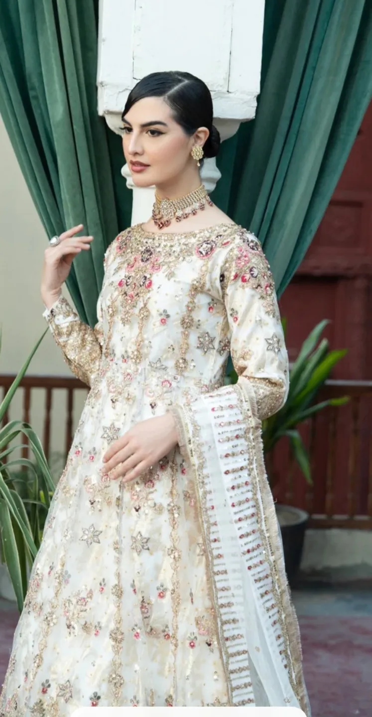Gorgeous Embroidered Pakistani Gown image indicator(4)