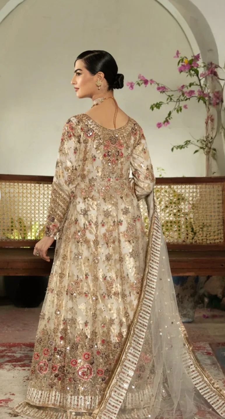 Gorgeous Embroidered Pakistani Gown image indicator(3)