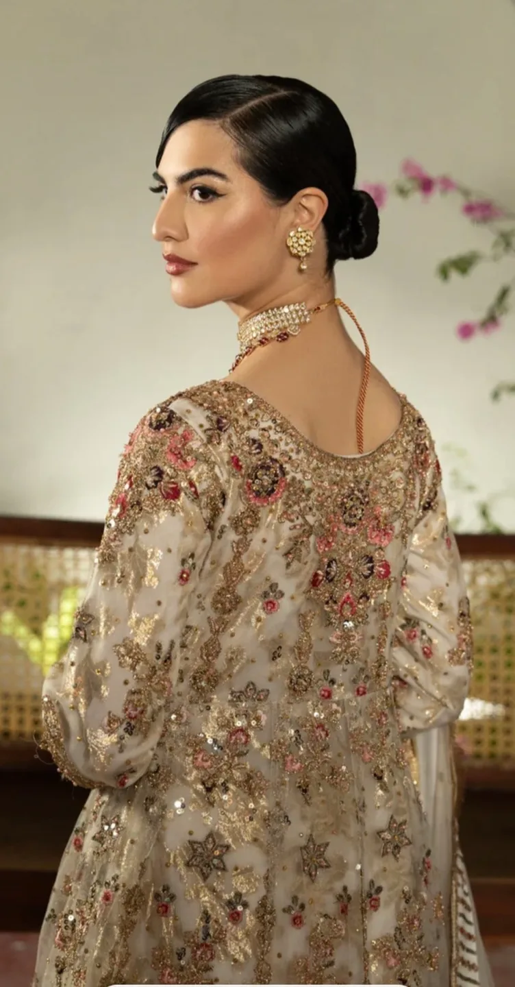 Gorgeous Embroidered Pakistani Gown image indicator(2)