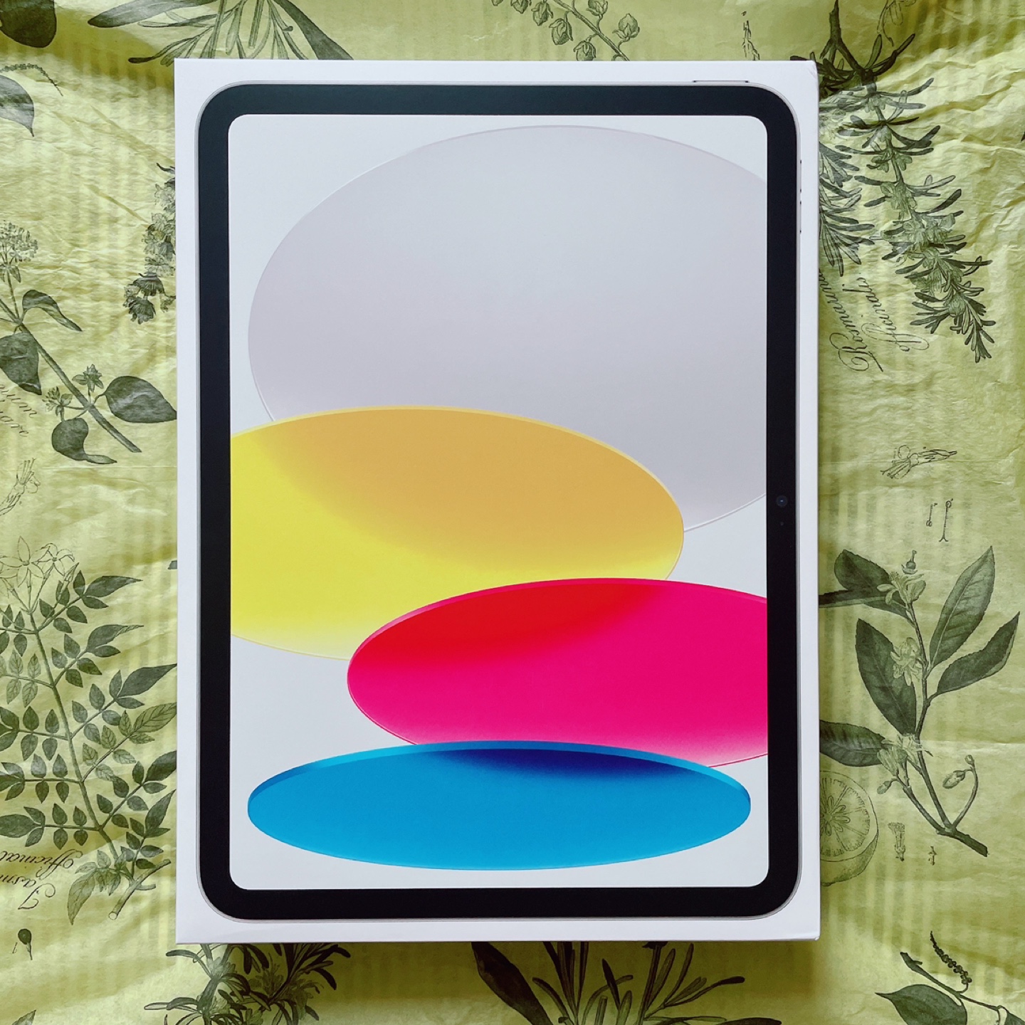 NEW Apple iPad (10th Gen)