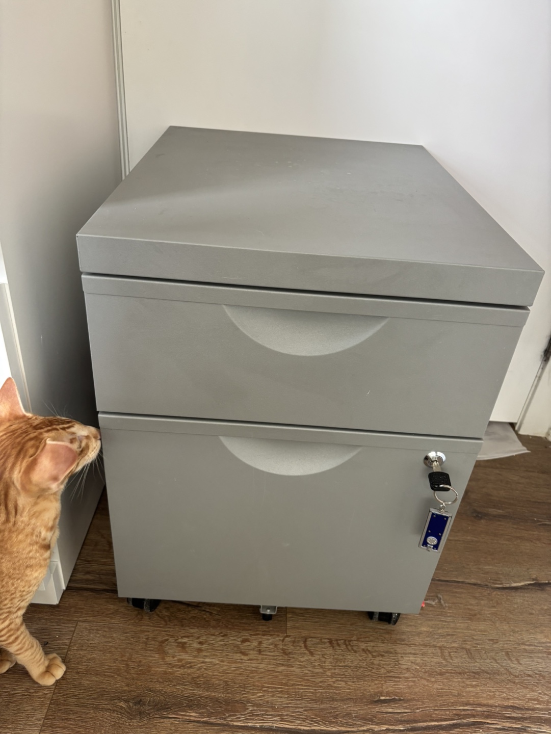 IKEA Metal Mobile Filing Cabinet with Two Drawers