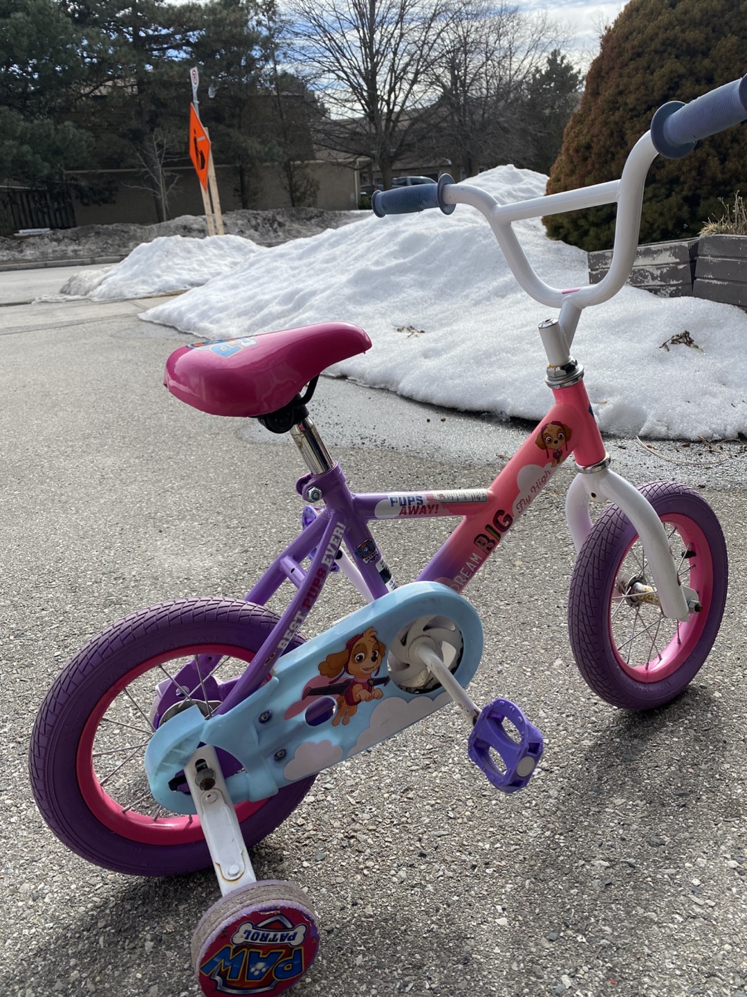 Paw Patrol Girls' Bike with Training Wheels