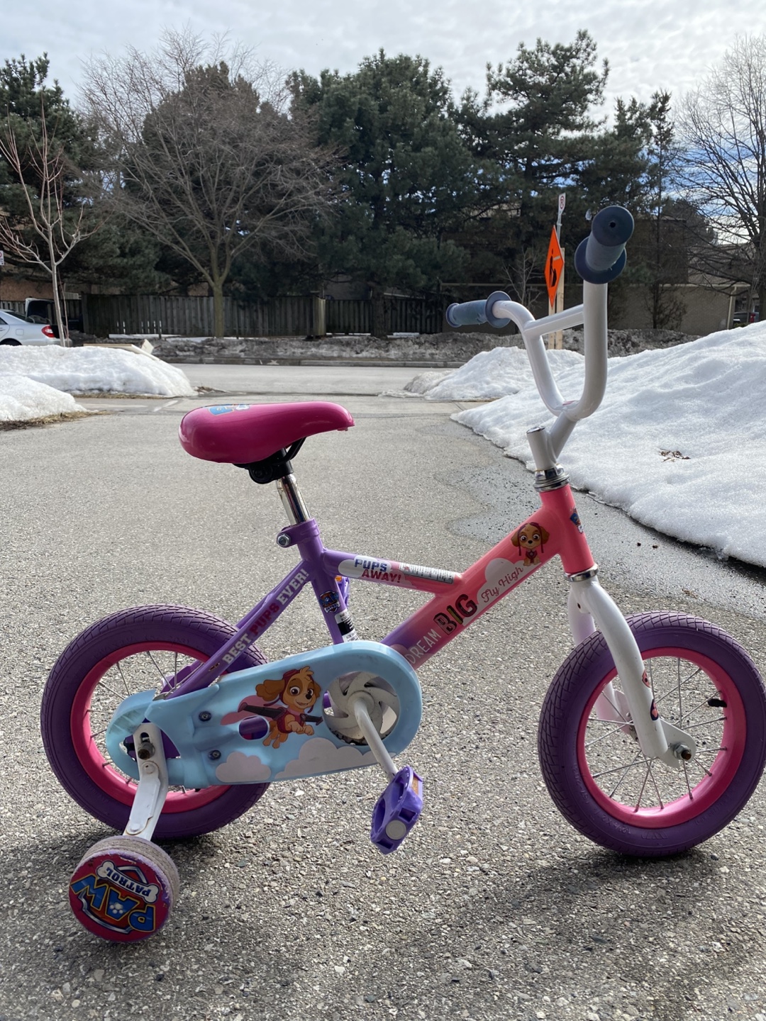 Paw Patrol Girls' Bike with Training Wheels - photo 2