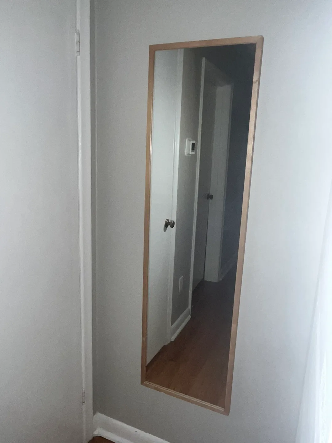 Full Length Mirror with Light Wood Frame image indicator(2)