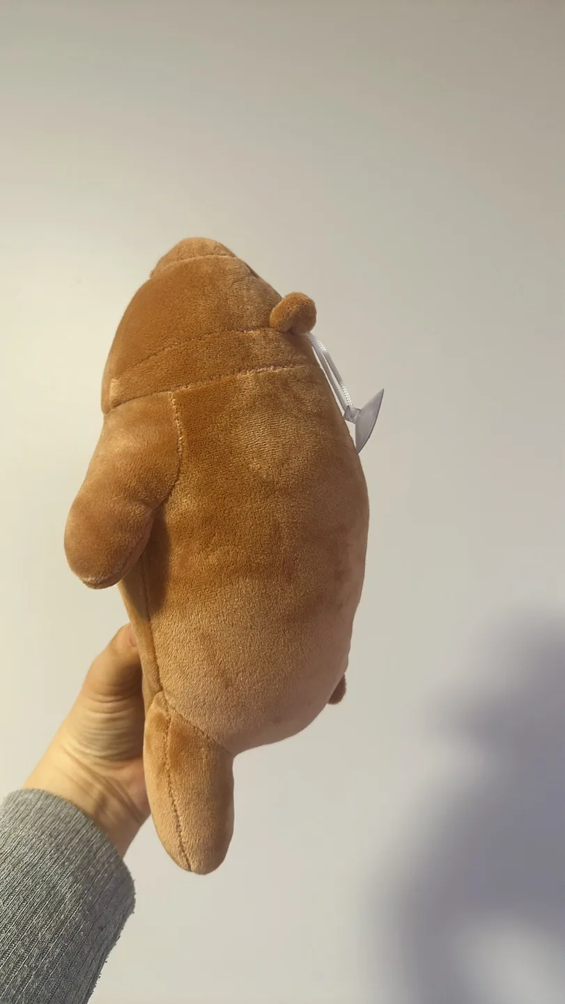 (used) small brown bear plush #freecycle image indicator(3)