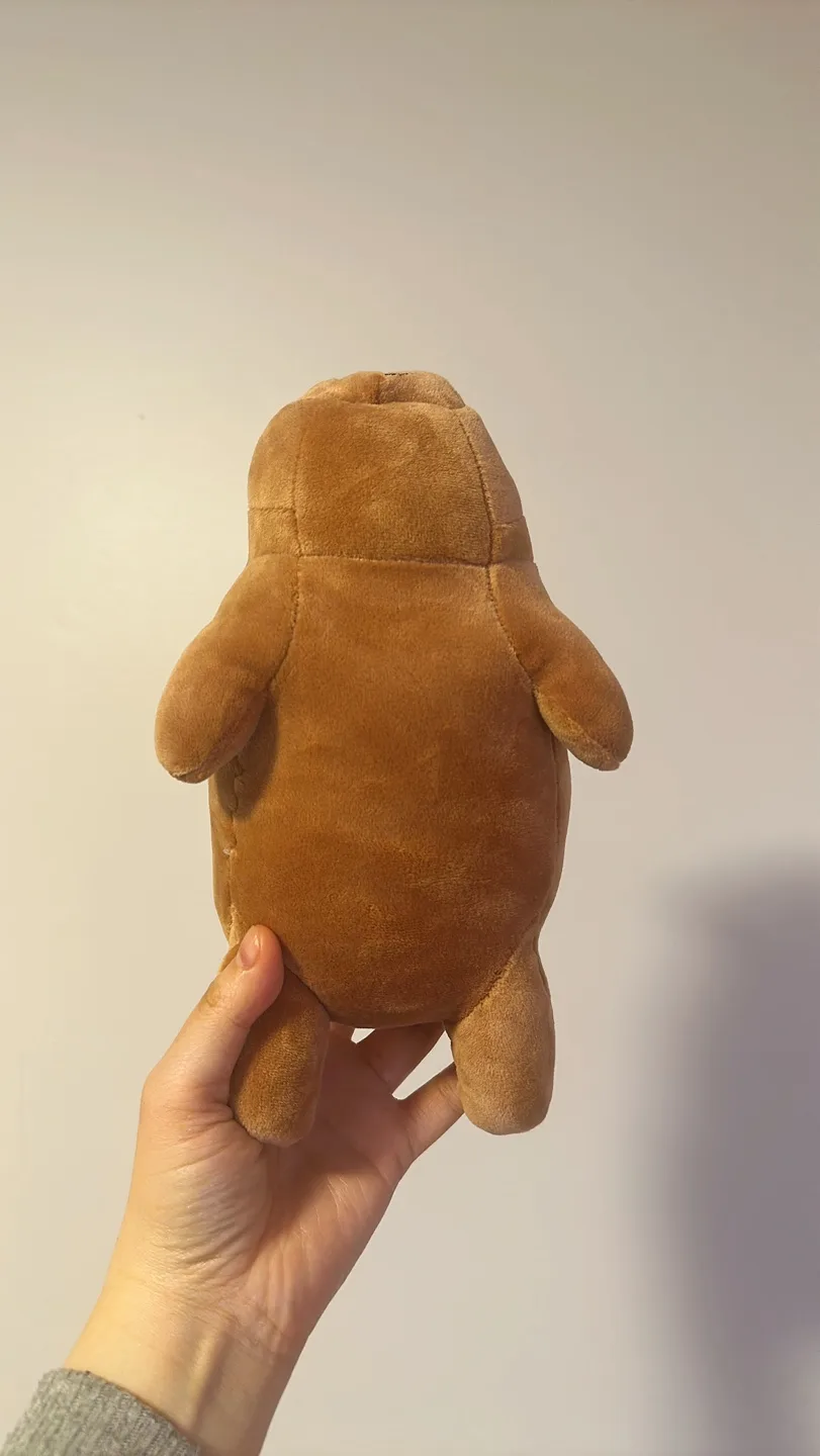 (used) small brown bear plush #freecycle image indicator(4)