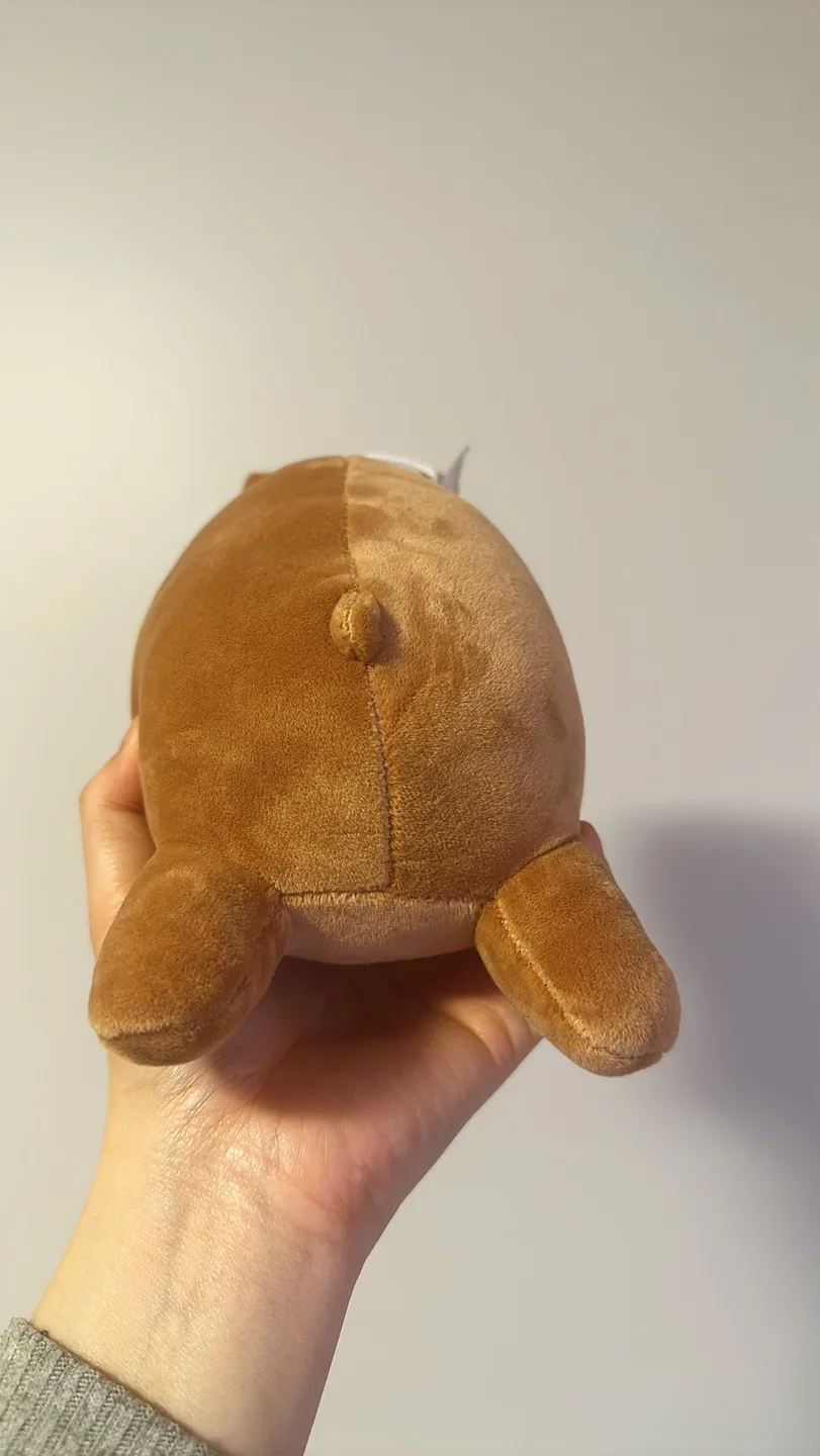 (used) small brown bear plush #freecycle image indicator(5)