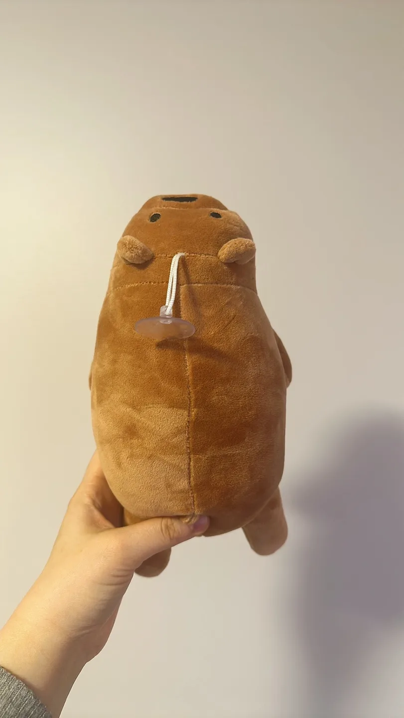 (used) small brown bear plush #freecycle image indicator(2)