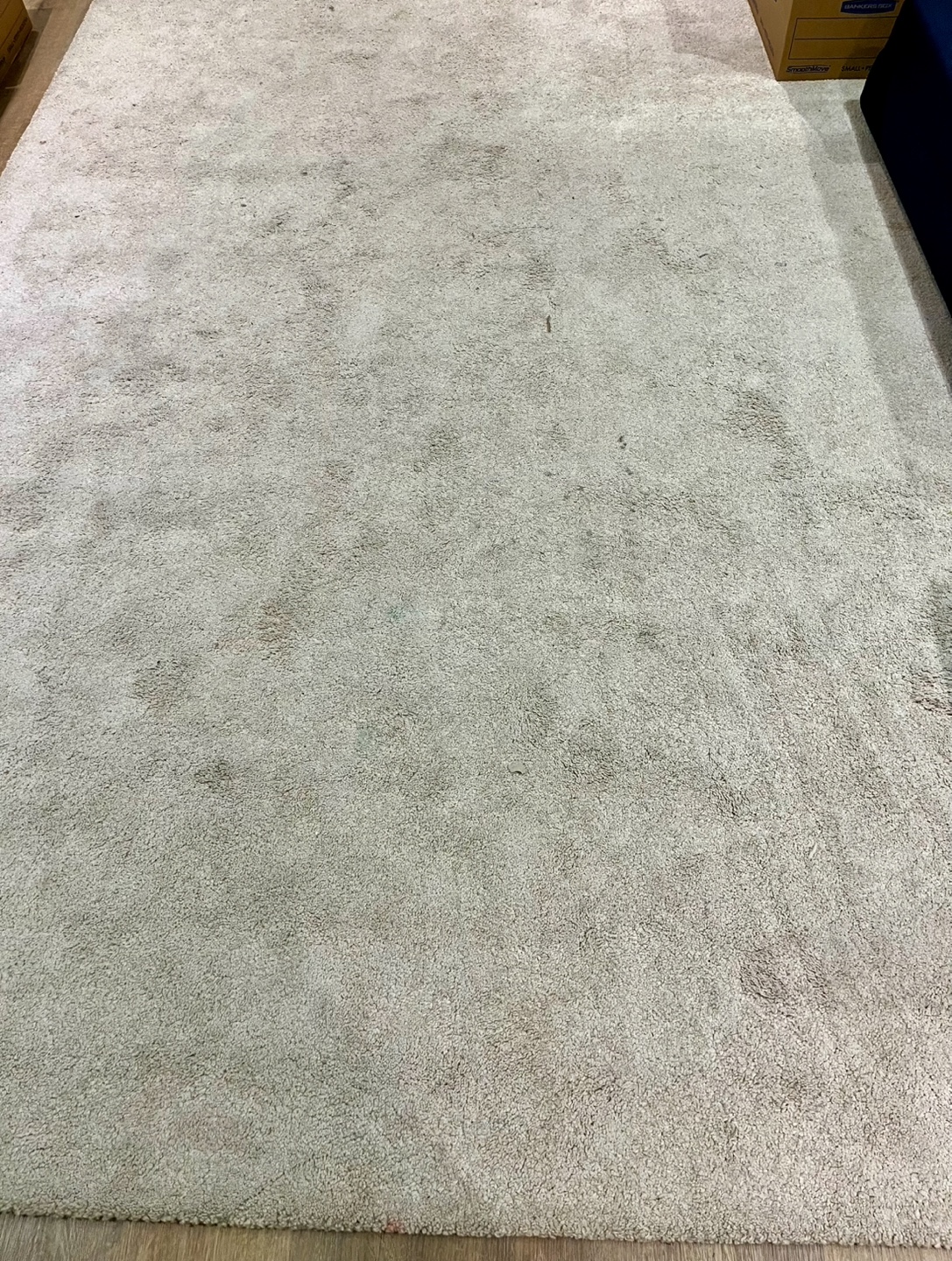 FREE!! IKEA STOENSE Rug (PICK UP NOW) - photo 2