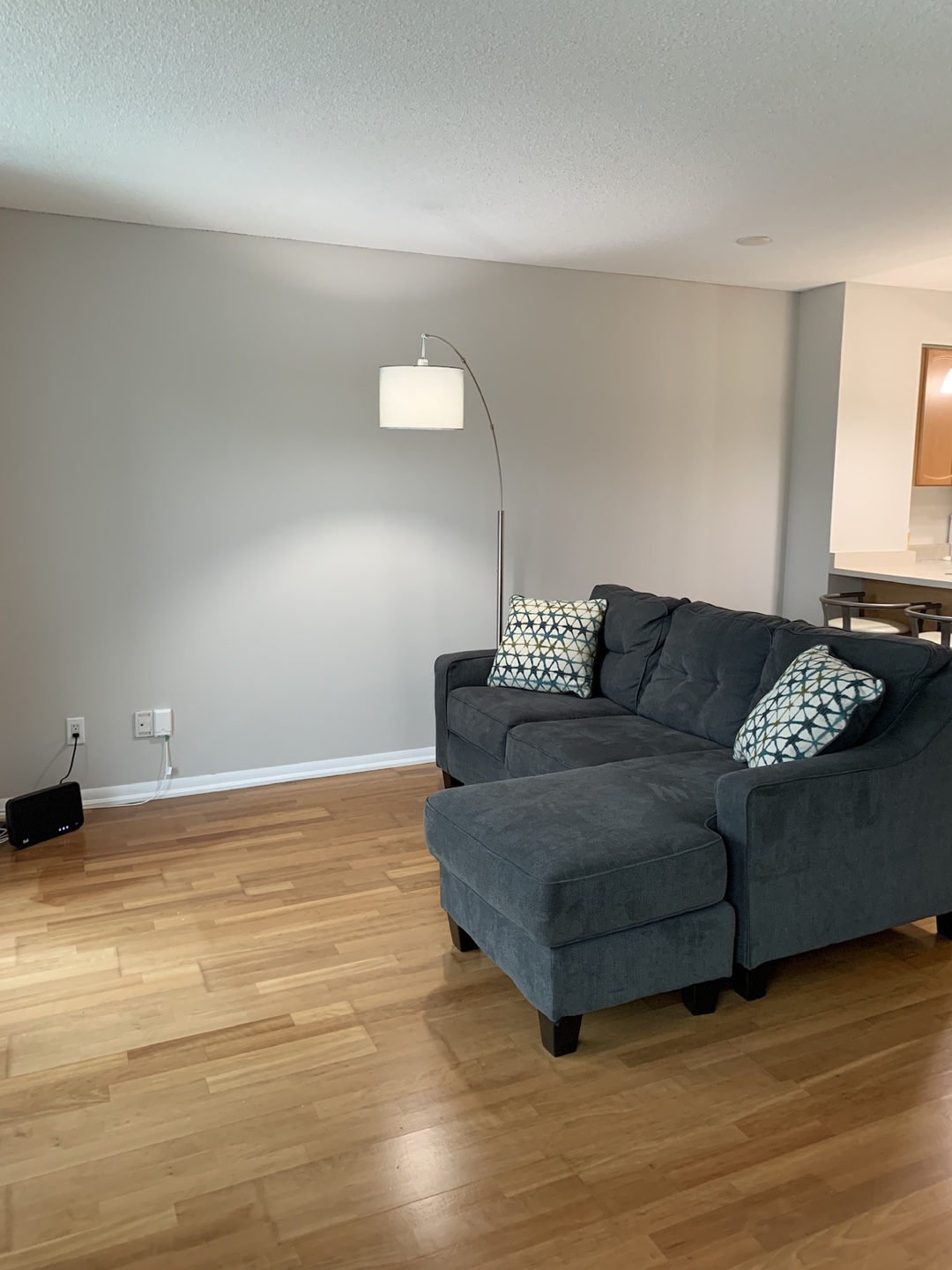 Grey Sectional Sofa with Chaise Lounge - photo 3