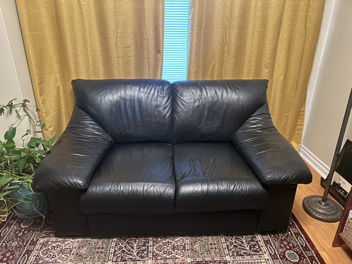 Black Leather Loveseat