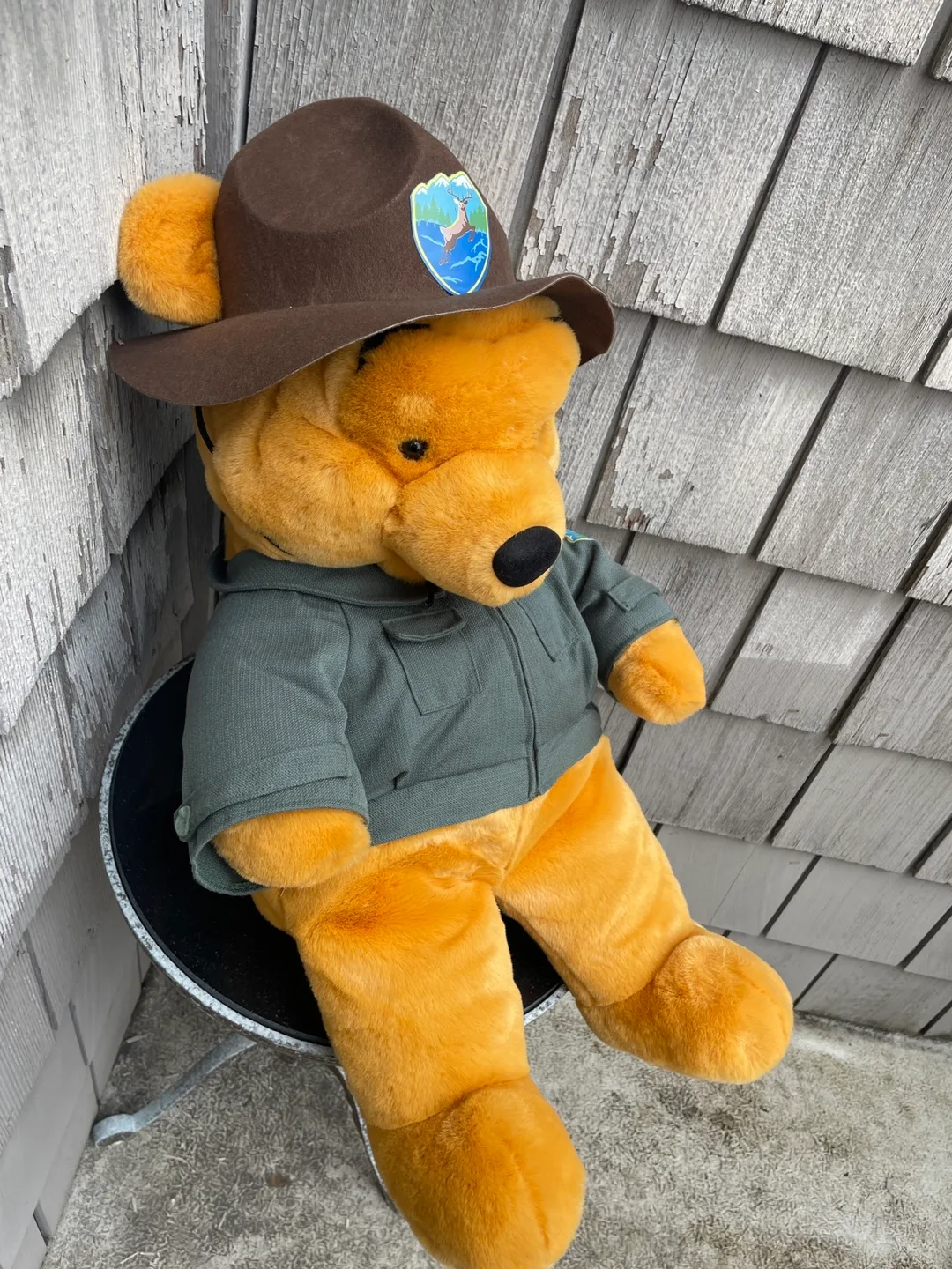 Large Winnie the Pooh Disneyland Ranger Plush image indicator(3)