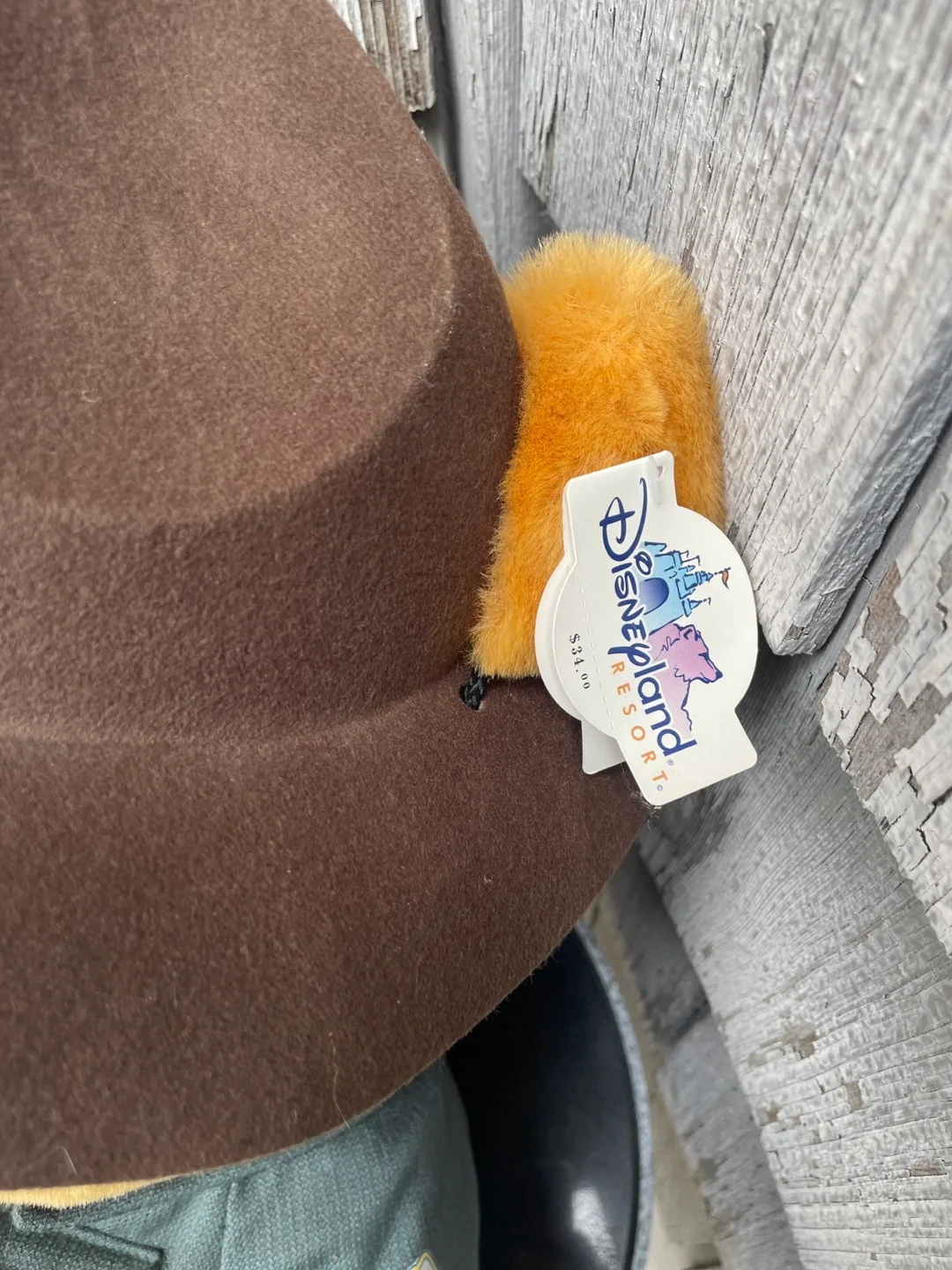 Large Winnie the Pooh Disneyland Ranger Plush image indicator(4)