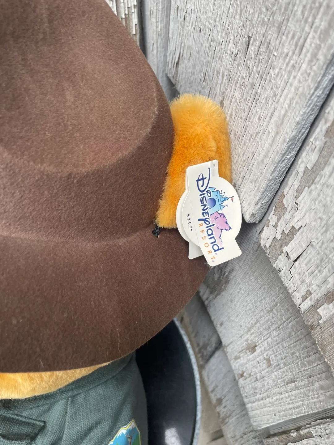 Large Winnie the Pooh Disneyland Ranger Plush image indicator(2)