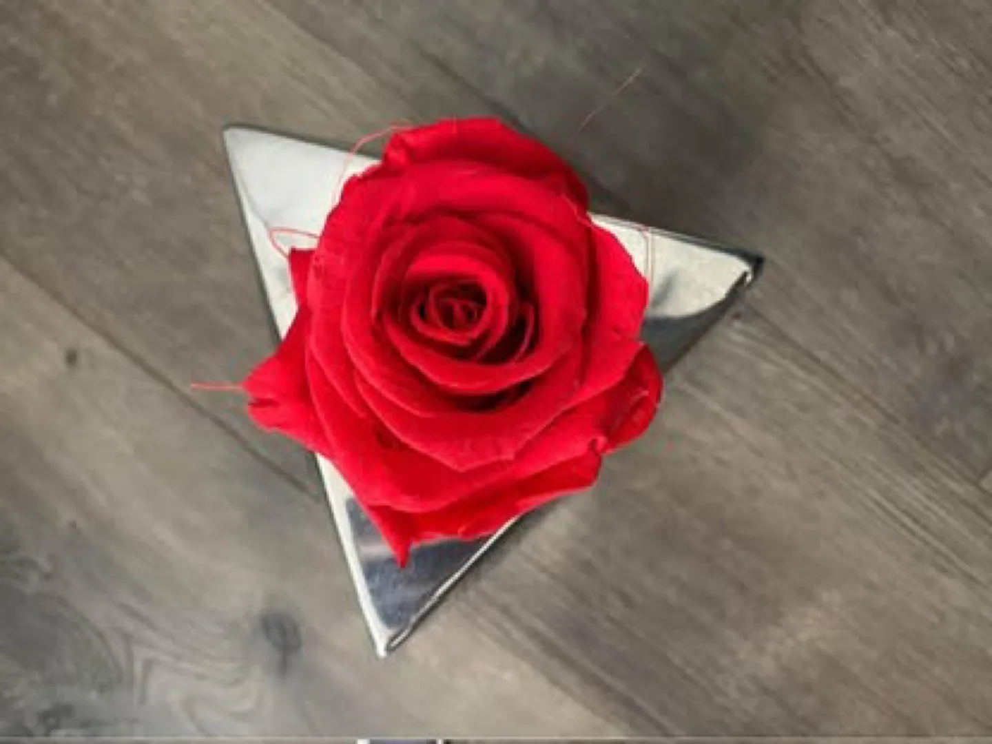 Forever Rose in Modern Silver Geometric Holder image indicator(2)