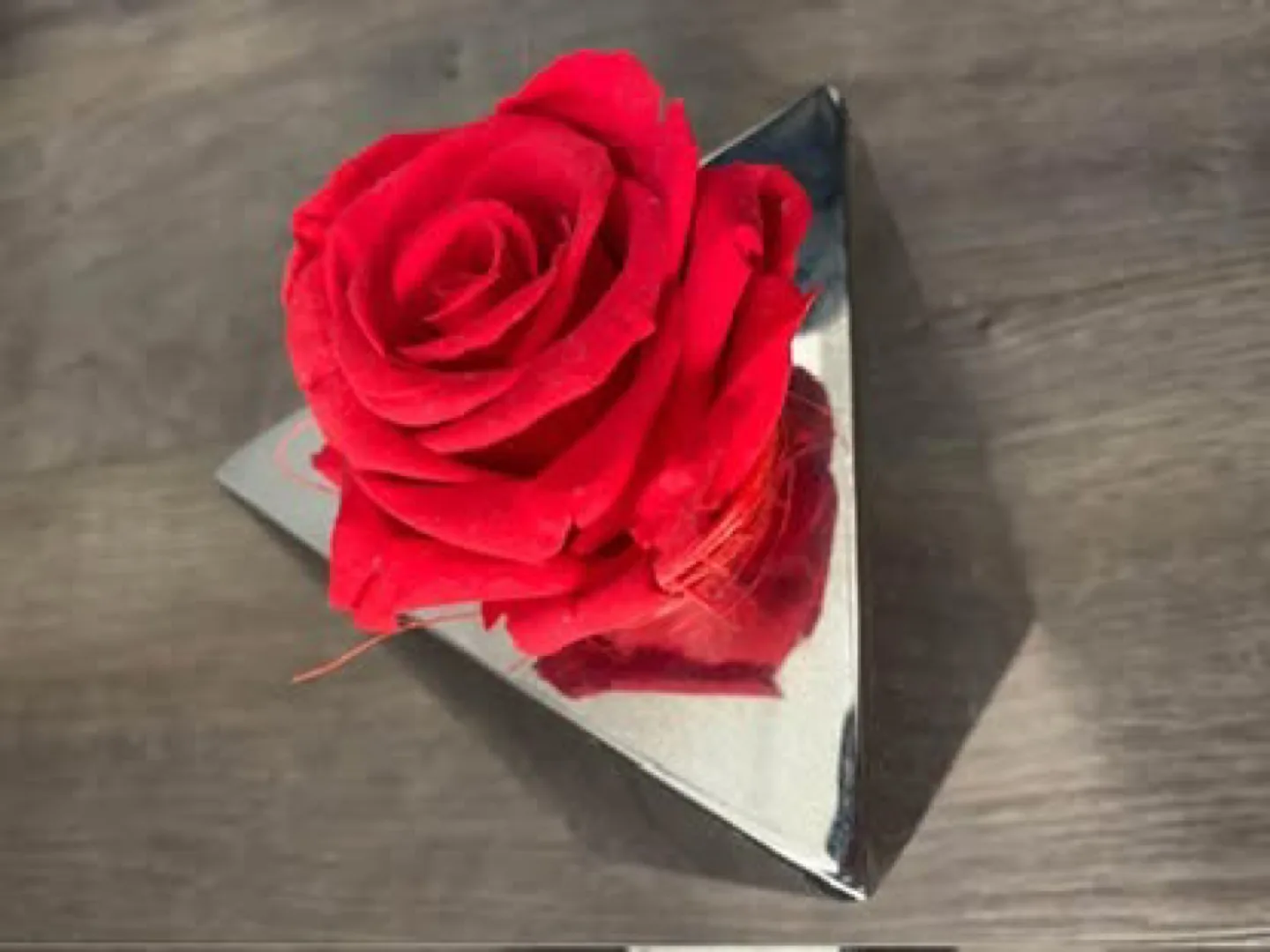 Forever Rose in Modern Silver Geometric Holder image indicator(3)