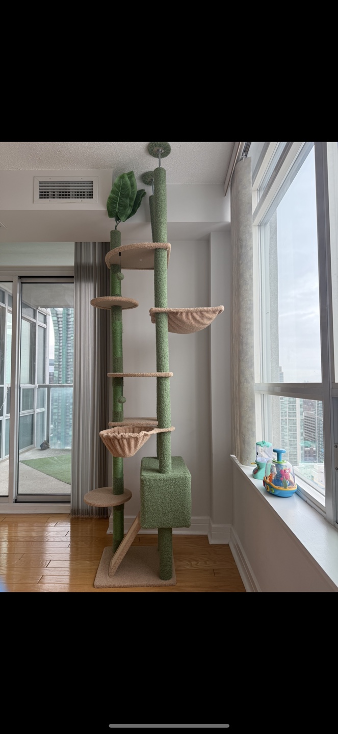 Tall Cat Tree - Multiple Levels & Platforms