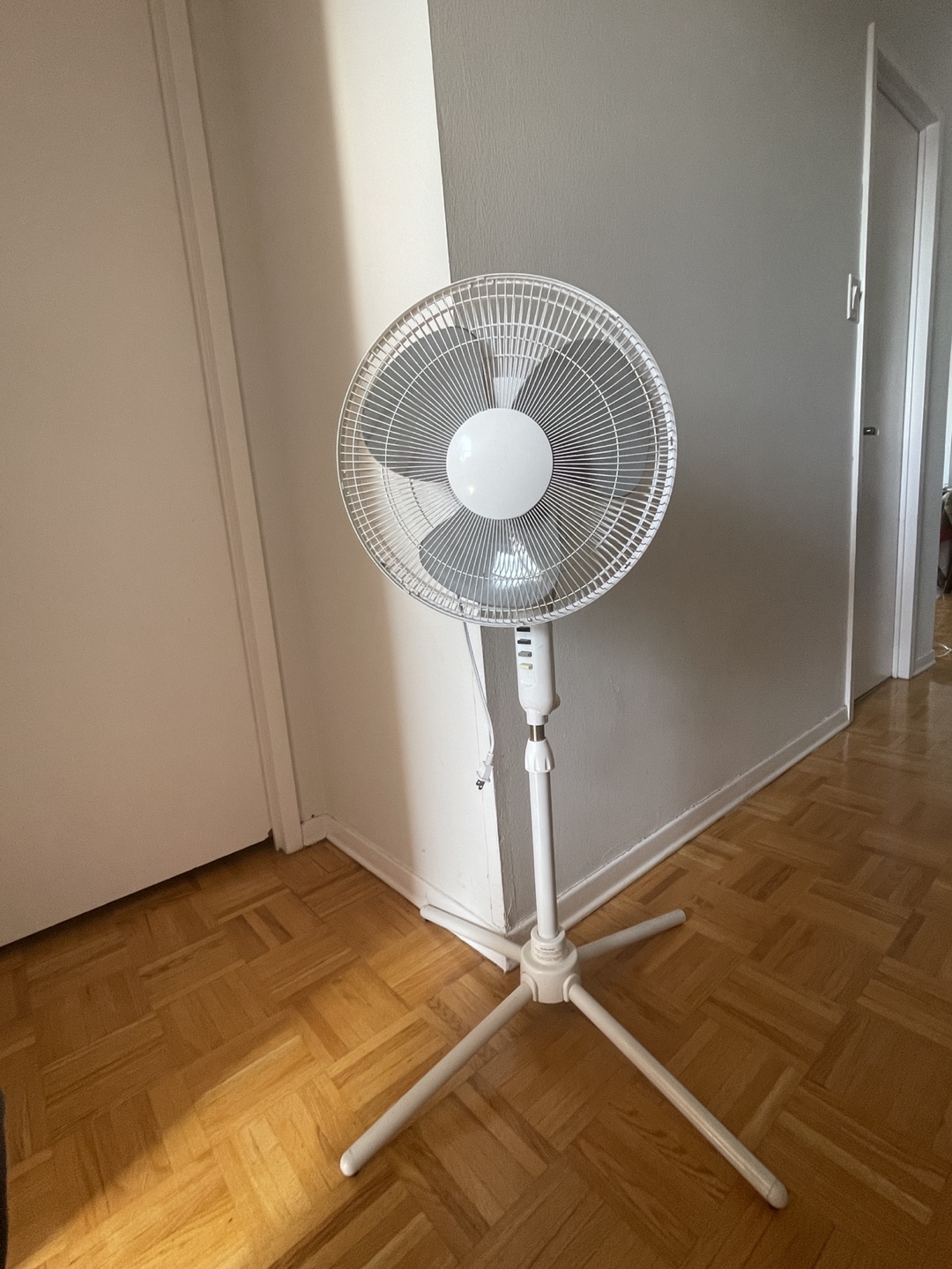 White Stand Fan