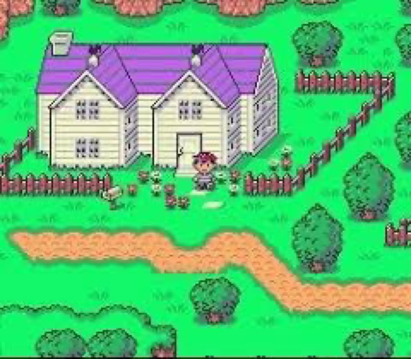 EarthBound Super Nintendo SNES Cartridge image indicator(2)