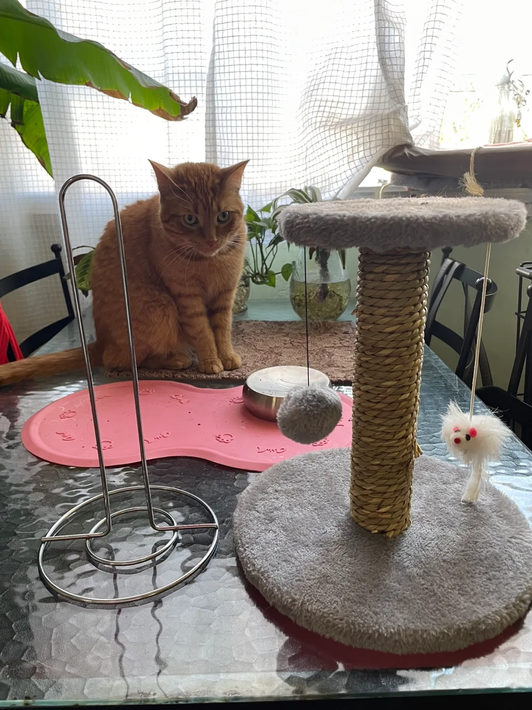 Cat scratching post with toys image indicator(2)