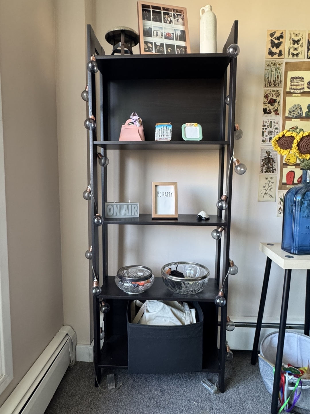IKEA Black Bookshelf