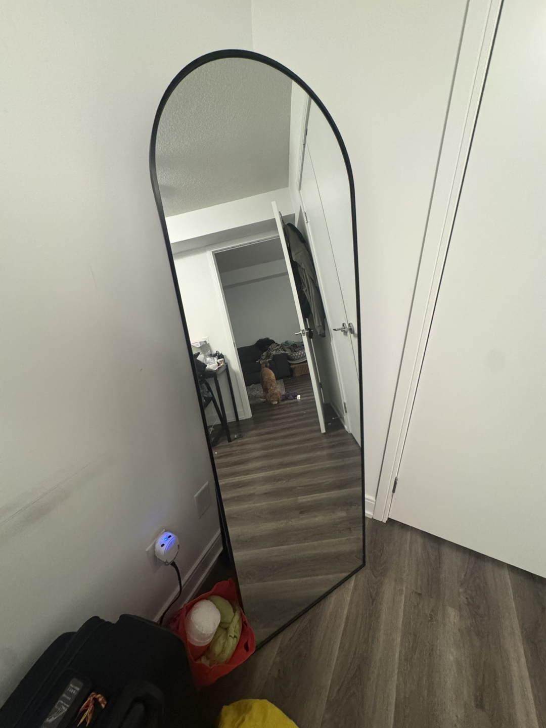 Full-Length Arch Mirror