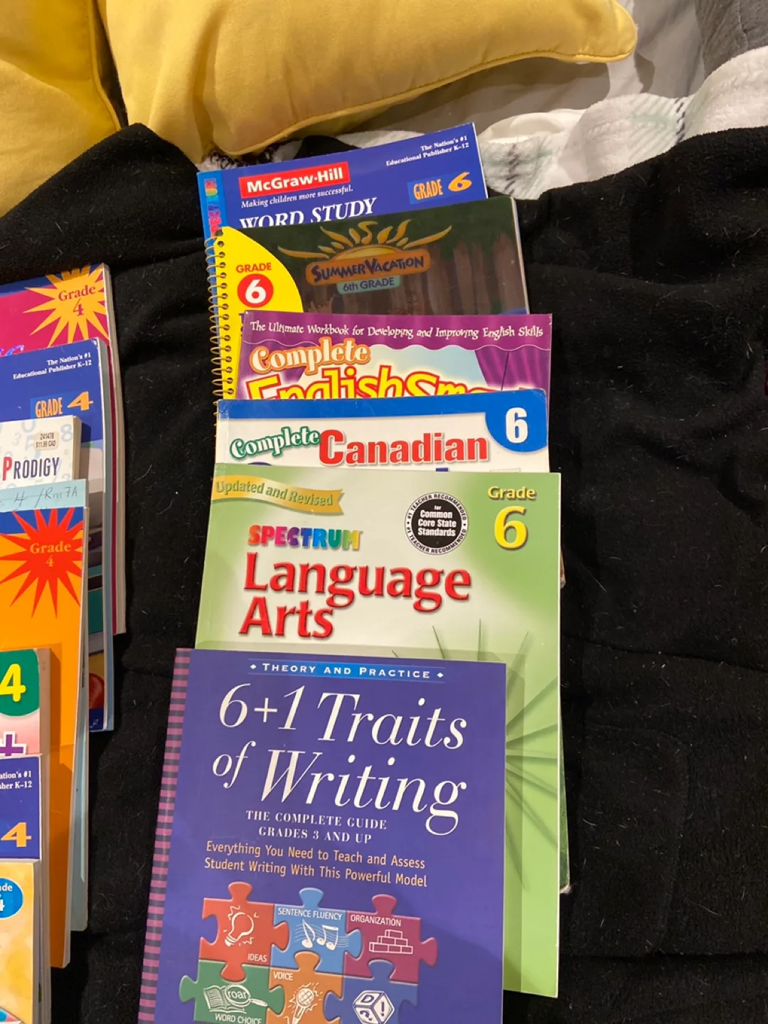 Bundle of Grade Workbooks & Textbooks 🥕 image indicator(4)