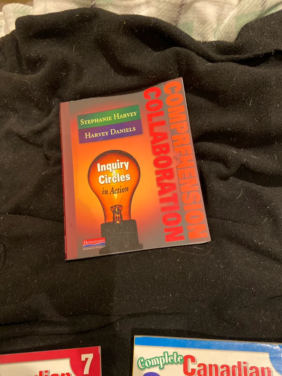 Bundle of Grade Workbooks & Textbooks 🥕 image indicator(5)