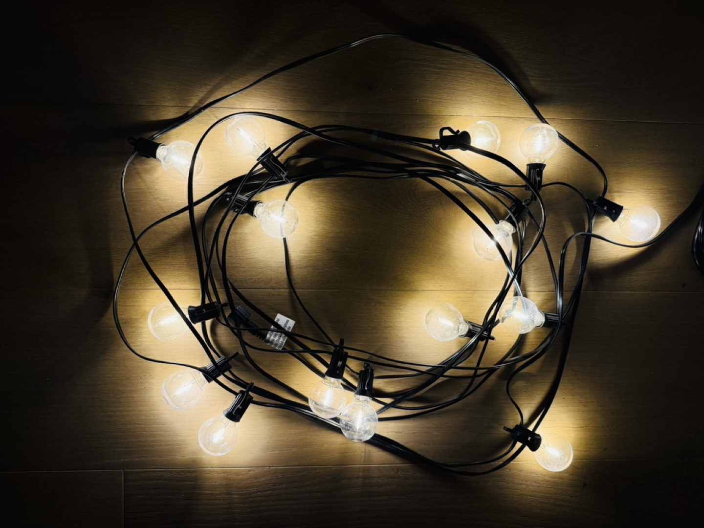Outdoor String Lights with Remote - photo 3